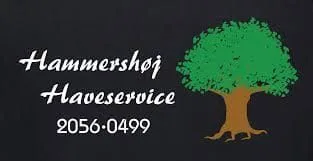 Hammershøjhave